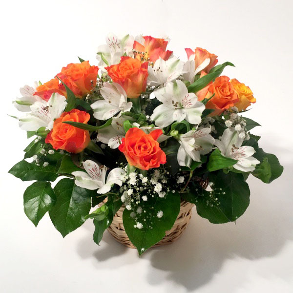Flower arrangement with orange roses, inkaliya and gypsum (11 Roses)