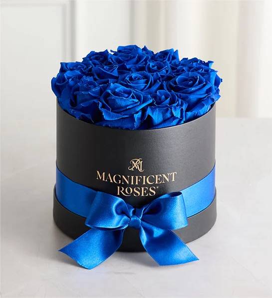 Magnificent Roses Preserved Blue Velvet Roses (Magnificent Roses Classic Blue Velvet Roses)