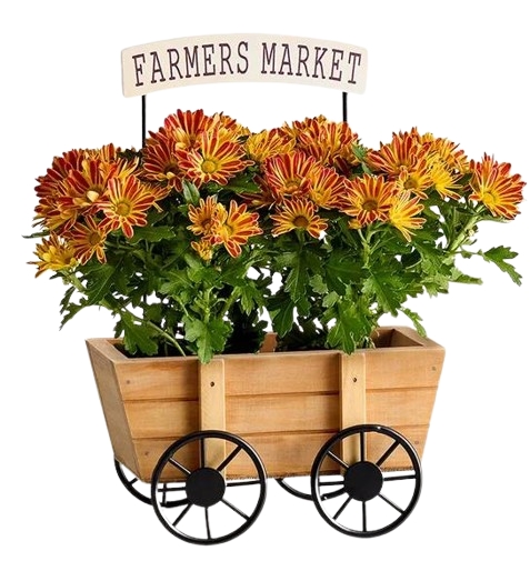 Farmers Market Mum