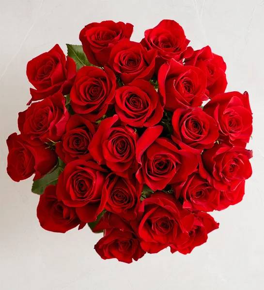 Hugs and Hearts Red Roses, 24 Stems (Bouquet Only)