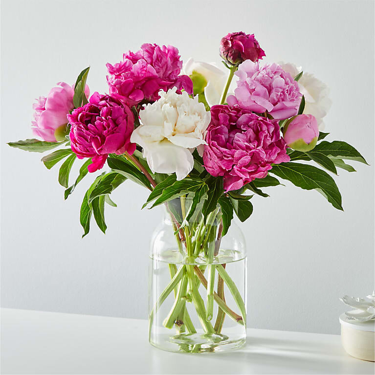 Picturesque Peony Bouquet (10 Stems)