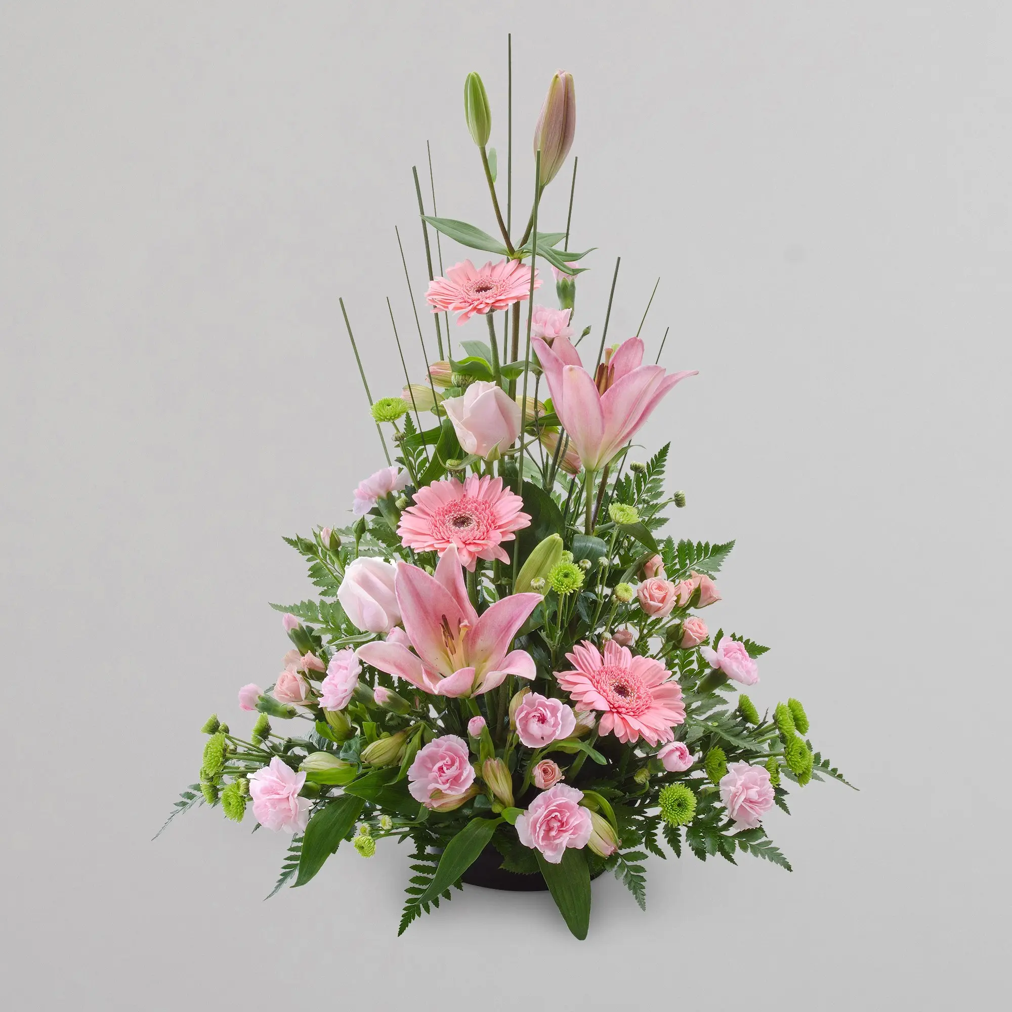 Pink Sympathy