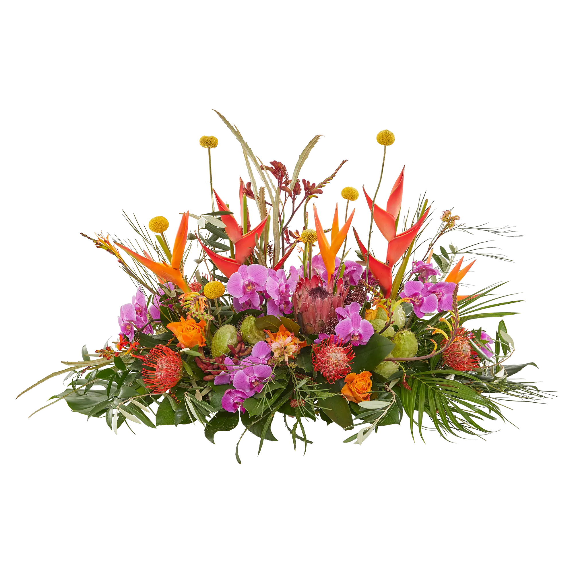 Funeral - Tropical garden