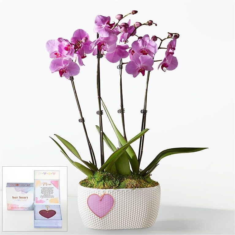 Pink Orchid Garden with Mom Heart Keepsake