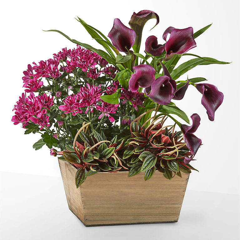 Fresh for Fall Garden