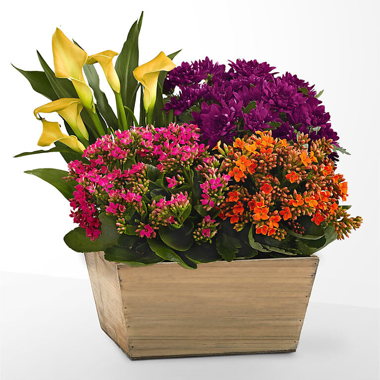 Abundant Blooms Garden
