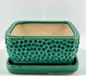 Crackle Teal Green Square Ceramic Bonsai Pot With Humidity / Drip Tray 9
