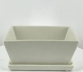 Matte White Rectangle Bonsai Pot With Humidity / Drip Tray