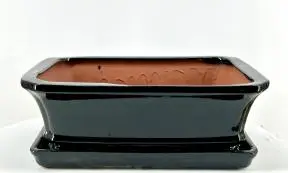 Black Rectangle Ceramic Bonsai Pot With Humidity / Drip Tray