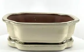 Beige Rectangle Ceramic Bonsai Pot With Humidity / Drip Tray