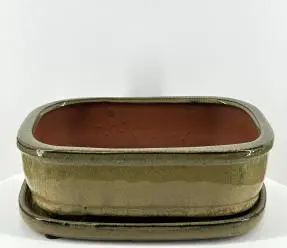 Olive Green Rectangle Ceramic Bonsai Pot With Humidity Drip Tray