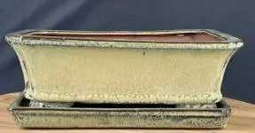 Olive Green Bonsai Pot With Matching Humidity Drip Tray 10.25" x 8.0" x 3.0"
