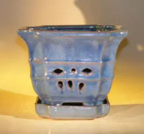 Blue Orchid Pot with Attached Tray 7.0" x 6.5" Tall