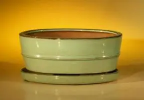 Green Ceramic Bonsai Pot - Oval Professional Series with Attached Humidity/Drip tray 8.5" x 6.5" x 3.5"