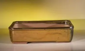 Olive Green Ceramic Bonsai Pot - Rectangle 11.5" x 8.5" x 3.0"