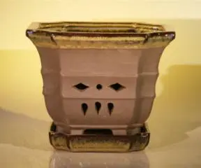 Ceramic Orchid Pot - 7.625" x 6.125" Hexagon With Matching Attached Saucer