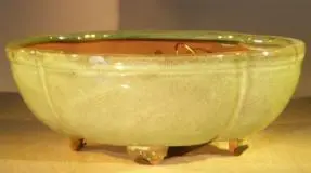 Melon Green Ceramic Bonsai Pot - Oval Professional Series 10" x 8" x 4"