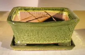 Woodlawn Green Ceramic Bonsai Pot - Rectangle Professional Series with Attached Humidity/Drip Tray 10.75" x 8.5" x 4.125"