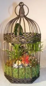 Savanna Birdcage Open Terrarium Indoor Foliage Arrangement