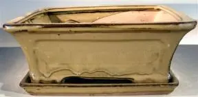 Olive Green Ceramic Bonsai Pot - Rectangle Professional Series with Attached Humidity/Drip Tray 10.25" x 8.0" x 4.125" OD 9.0" x 7.0" x 3.25" ID
