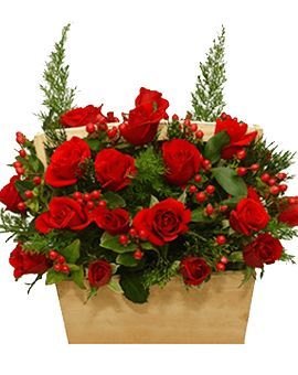 Arranged Beauty (Basic)