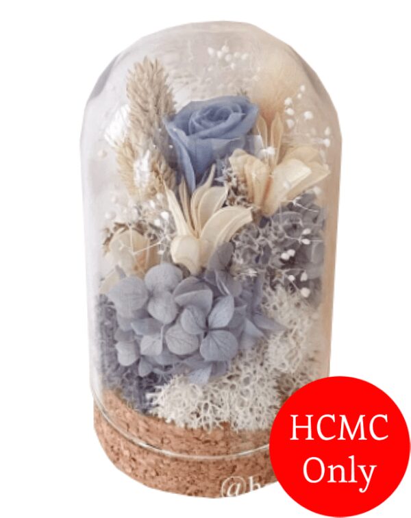 Preserved Rose 05