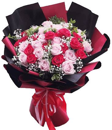 Bouquet of Red Velvet Roses (Basic)