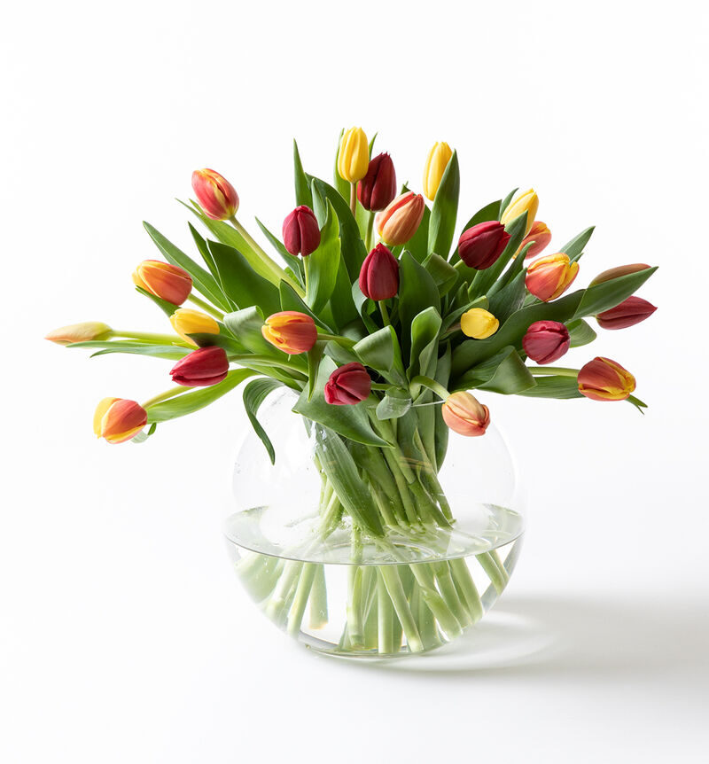 Tulip bouquet warm colors large