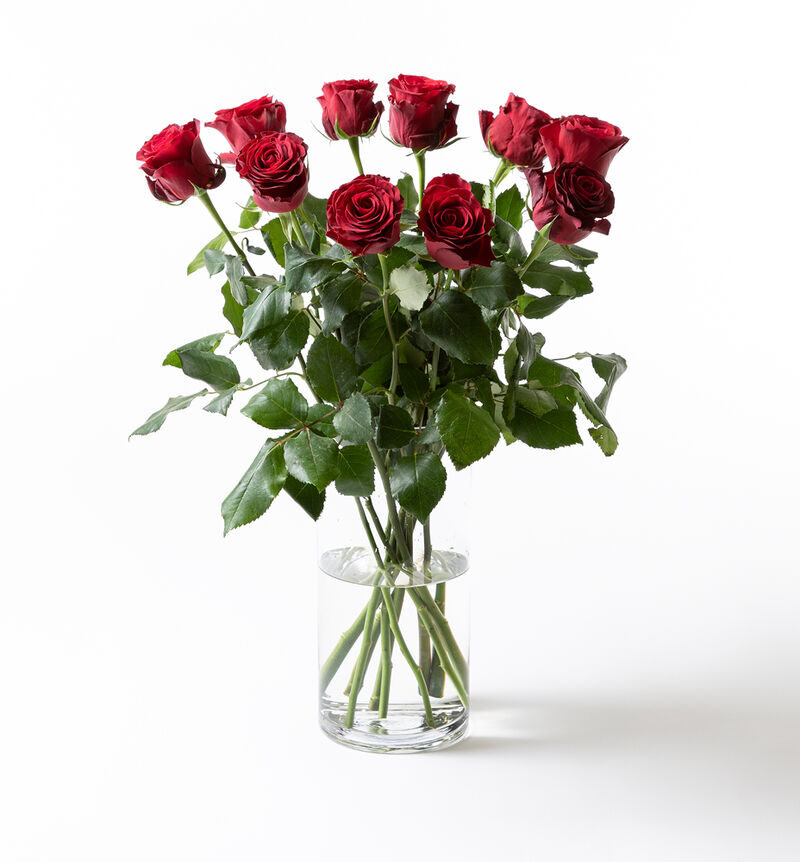 10 long-stemmed red roses