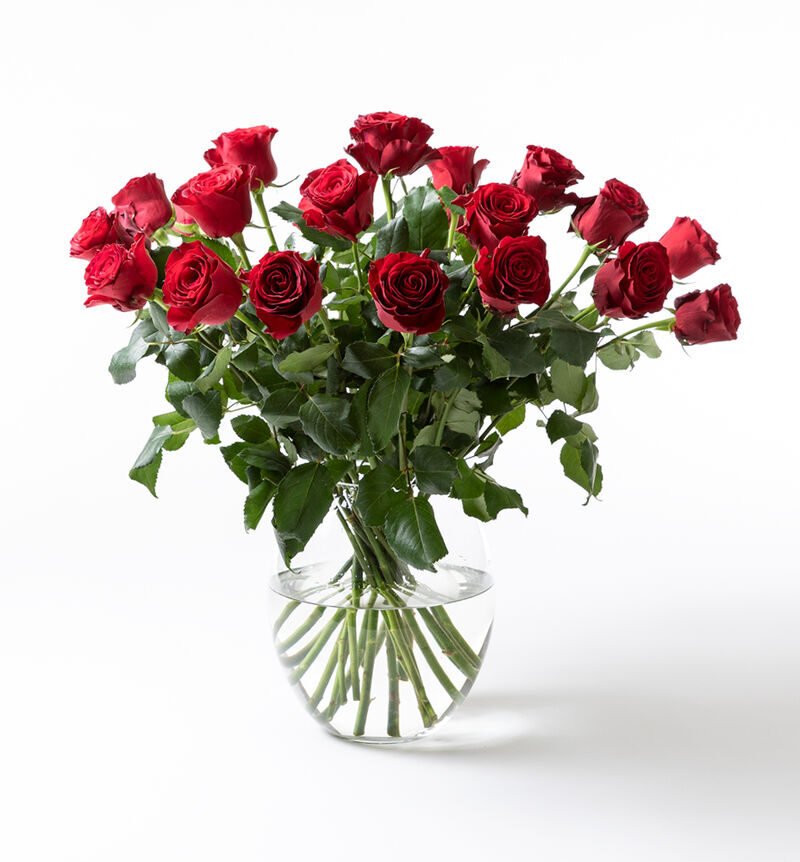 20 long-stemmed red roses