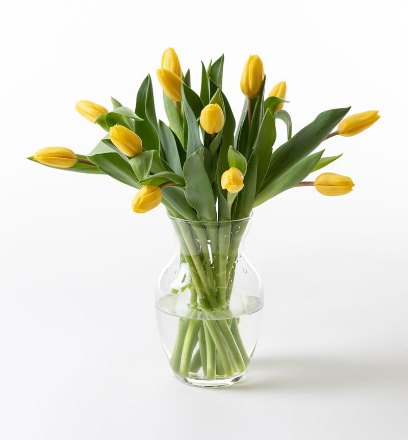 Yellow tulip bouquet small