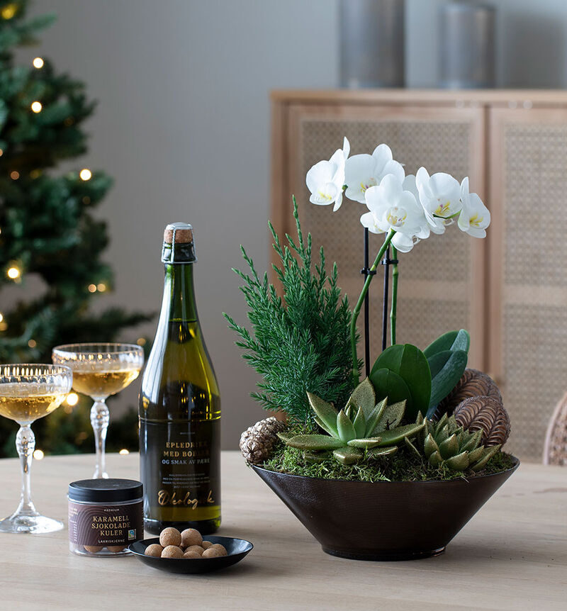 Orchid group with drink and chocolate
