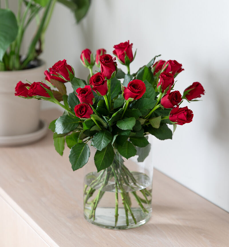Red rose bouquet (None selected)