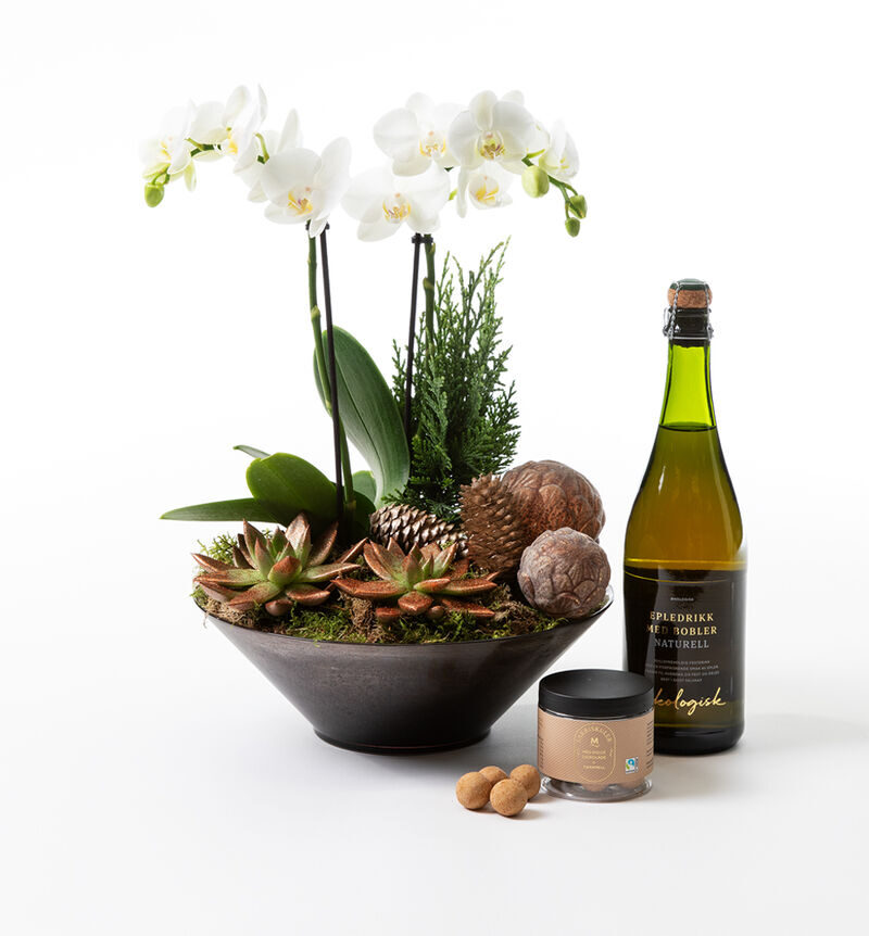Orchid group with bubbles and chocolate