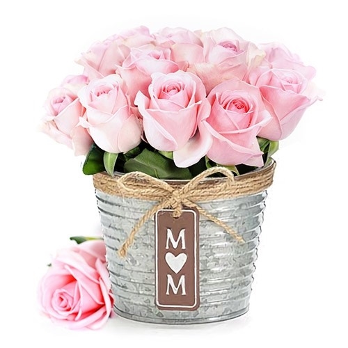 Pink Mom Roses Vase