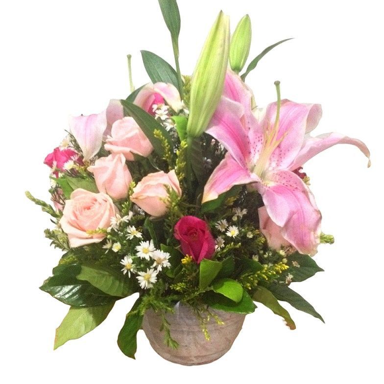 12 Roses with Stargazer Lilies in a Terracotta vase (12 Stems)