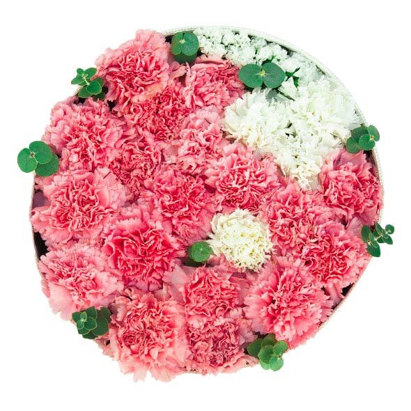 Carnations Round Box