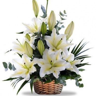 Casablanca Stargazer Lilies Basket (2 Kg Assorted Fruits Basket)