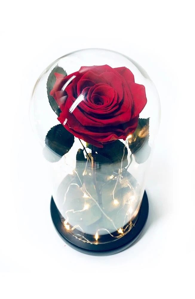 Roses Round Box