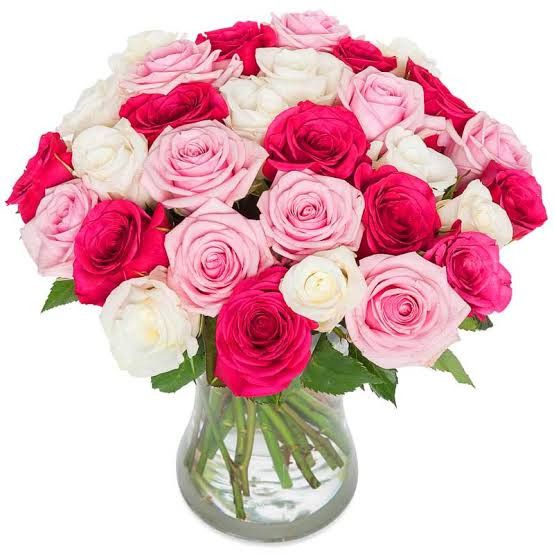 Carnations Bouquet