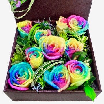 10 Rainbow Ecuadorian Roses Box