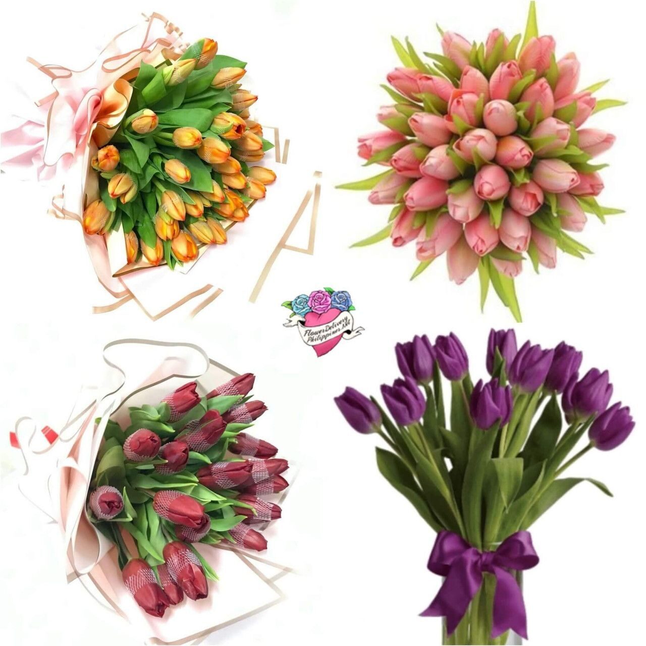 20 White & Pink Holland Tulips Basket