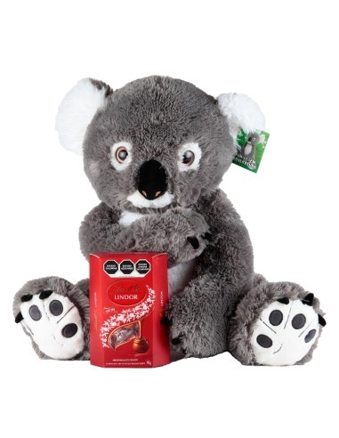 Koala with Chocolates