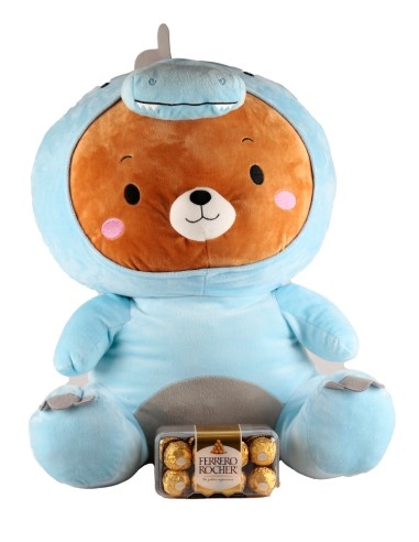 Dino bear and Chocolates