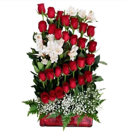 "Romantic" 24 Red Roses Arrangement