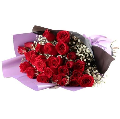 Two dozen Red Roses with Gypsophila