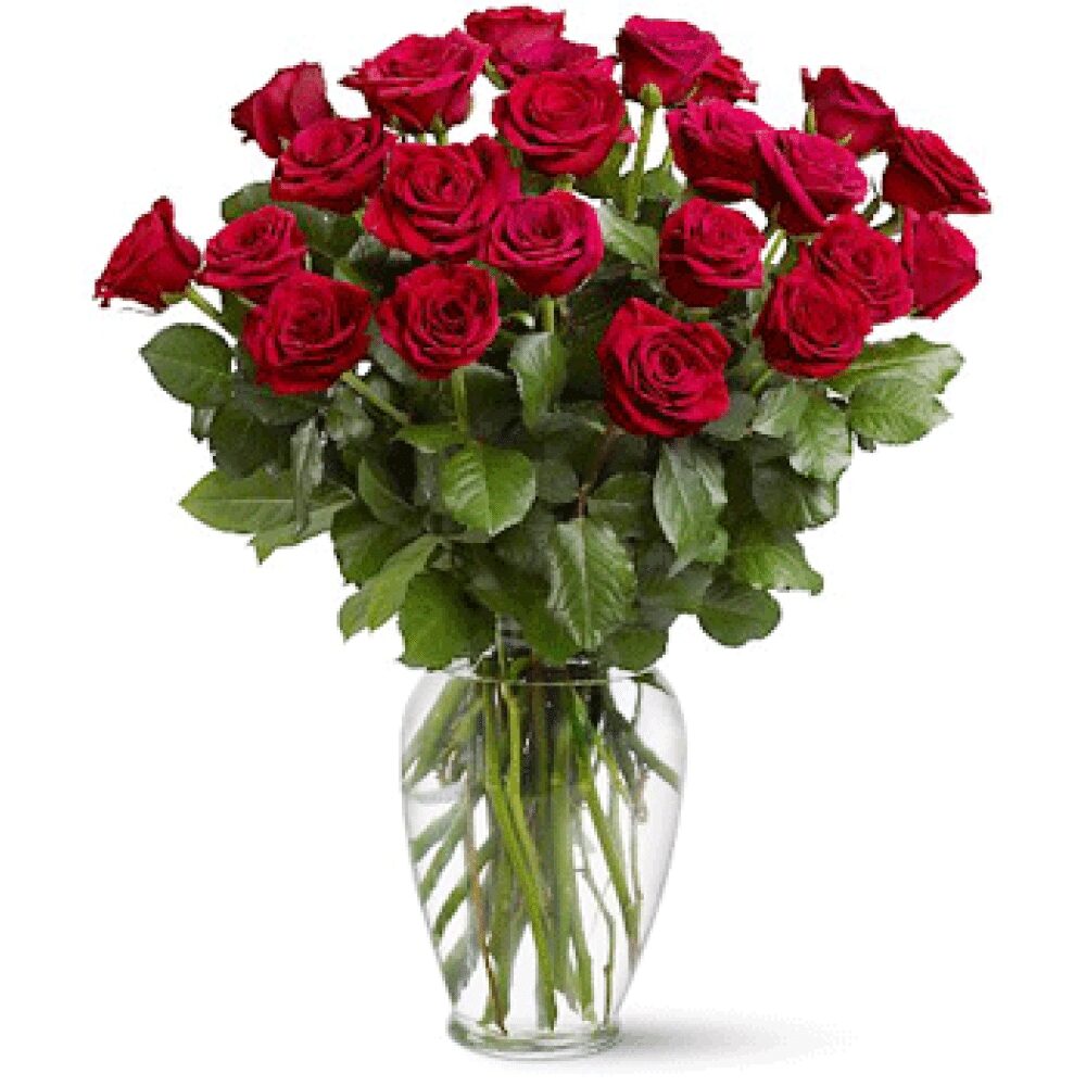 Vase of 24 Red Roses