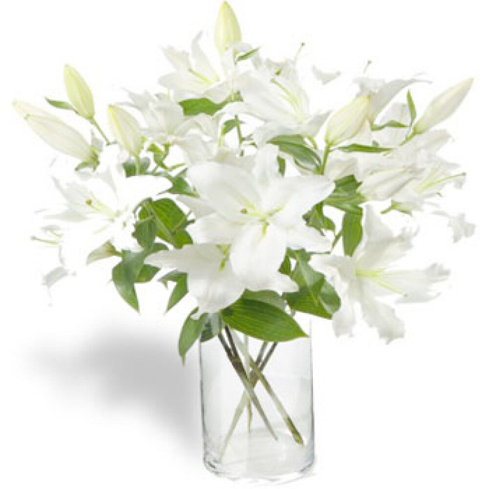 White Rose Basket Arrangement