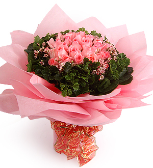 Valentine Pink Alva