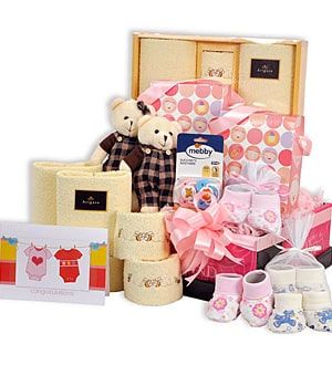 Twins - Double Joy Girl - Baby Hamper